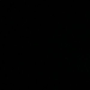 Meet your Posher, Adrianna